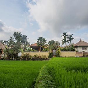 Ubud Luwih Nature Retreat